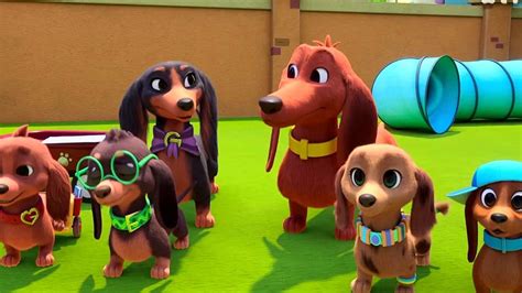 moviesjoy pretzel and the puppies|Pretzel and the Puppies .